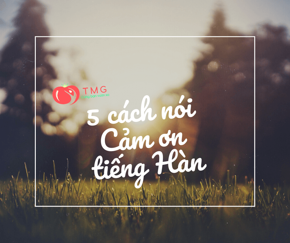 5 cách nói cảm ơn trong tiếng Hàn