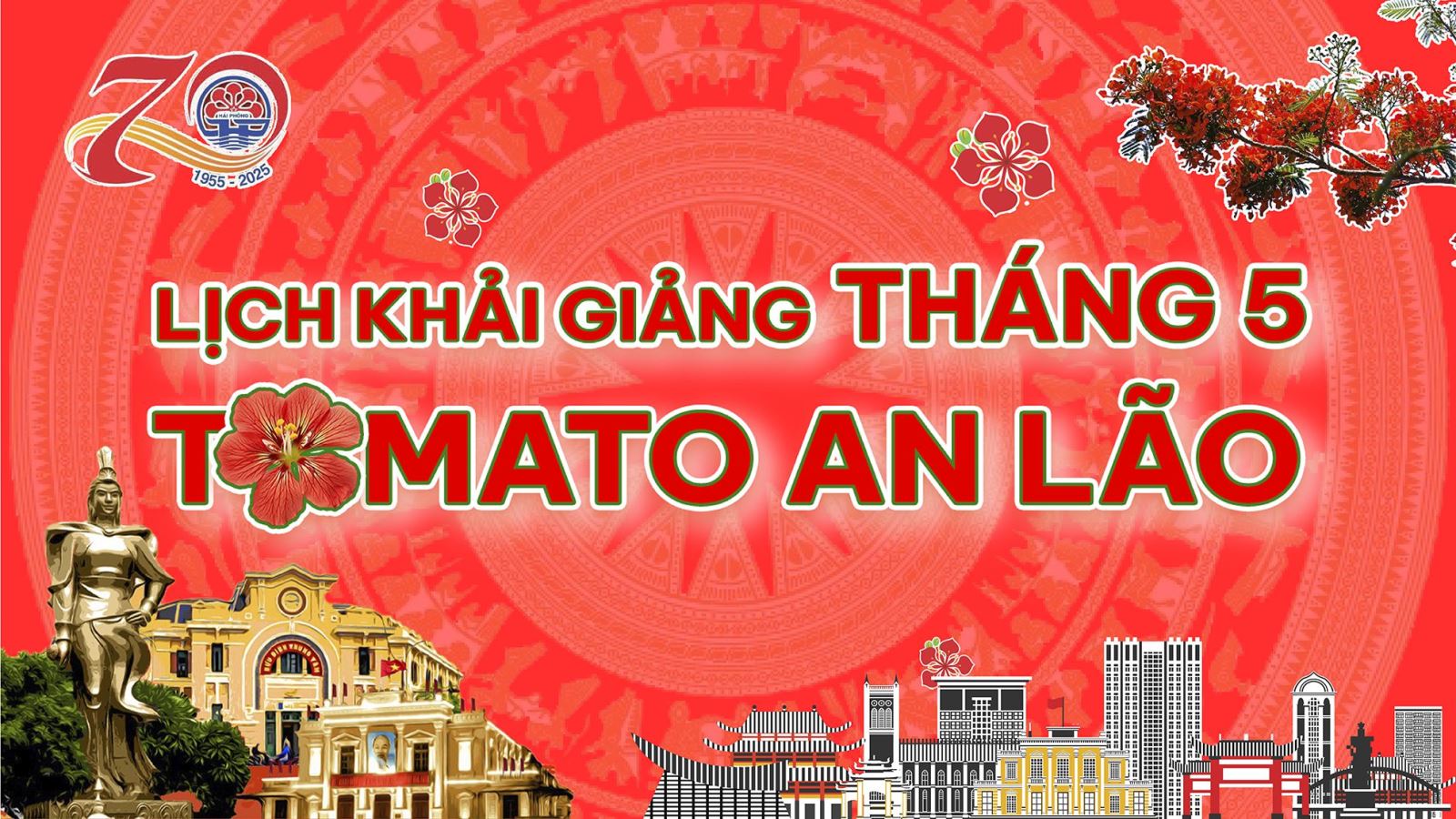 LỊCH KHAI GIẢNG THÁNG 5/2025 CỦA TOMATO CƠ SỞ AN LÃO