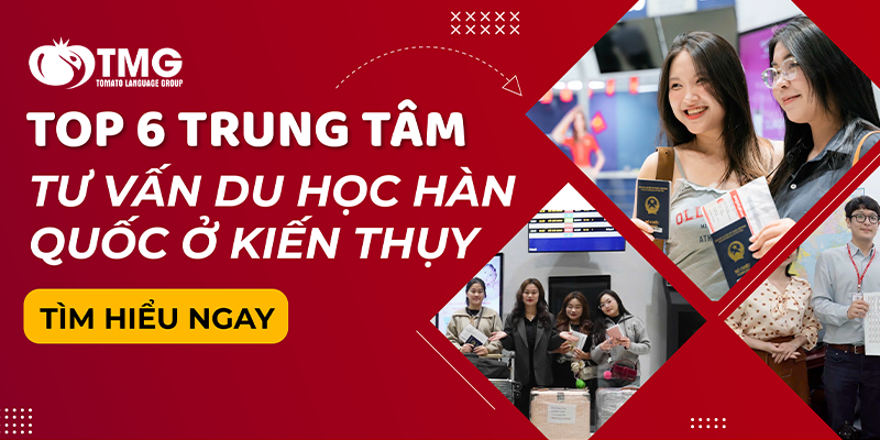 TOP 6 TRUNG TÂM TƯ VẤN DU HỌC HÀN QUỐC Ở KIẾN THỤY