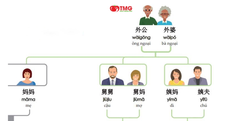 SƠ ĐỒ TƯ DUY TIẾNG TRUNG – CÁCH HỌC TỪ VỰNG NHANH VÀ DỄ NHỚ - Ảnh 4