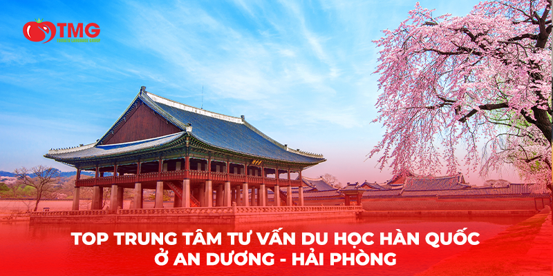 TOP TRUNG TÂM TƯ VẤN DU HỌC HÀN QUỐC Ở AN DƯƠNG HẢI PHÒNG