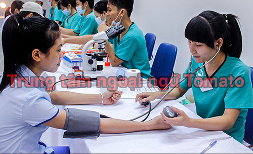 Quy trình đi xuất khẩu lao động Nhật Bản