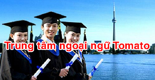 Những lý do bạn nên đến Nhật Bản du học