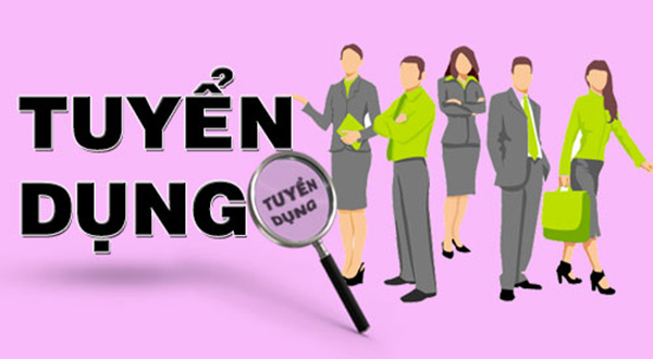 Tuyển Dụng giáo viên tiếng Anh Hải Phòng