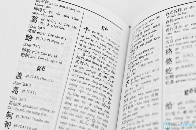 Học tiếng Trung tại Hải Phòng - Cách sử dụng từ điển tiếng Trung online