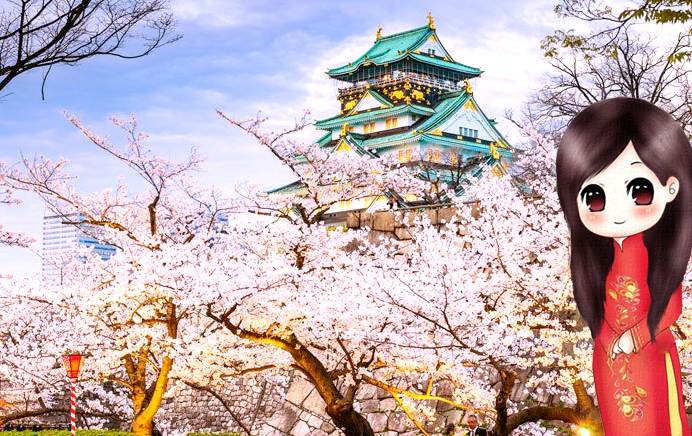 Cách viết chữ Katakana chuẩn nhất