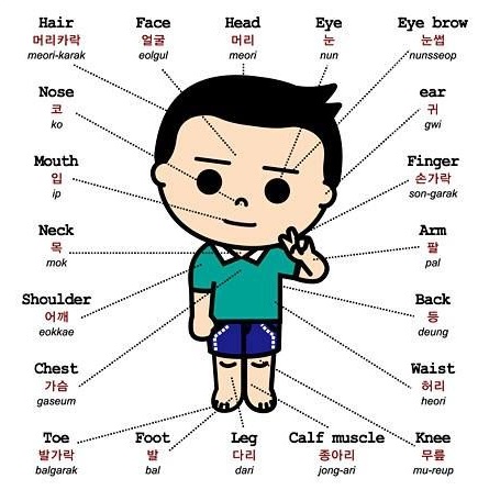 Gia sư tiếng Hàn Hải Phòng