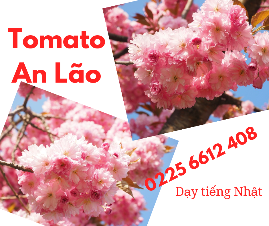Đào tạo tiếng Nhật tại An Lão Hải Phòng