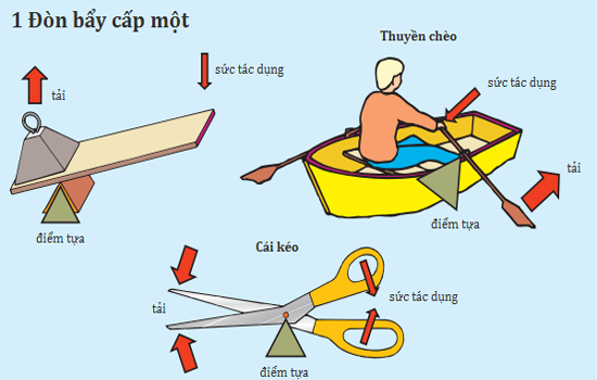 Gia sư môn lý Hải Phòng
