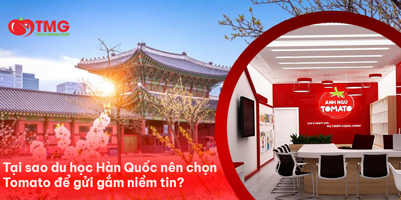 Tại sao du học Hàn Quốc nên chọn Tomato để gửi gắm niềm tin?
