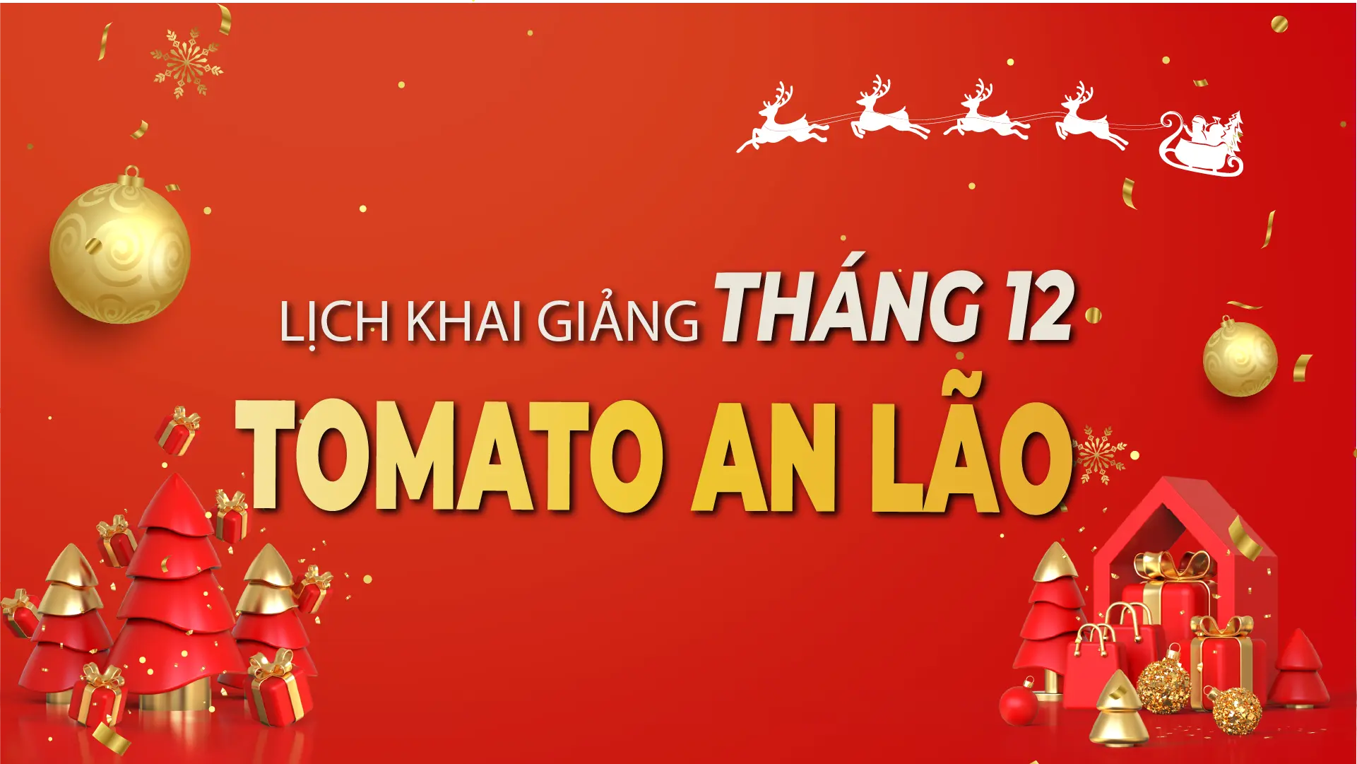 LỊCH KHAI GIẢNG THÁNG 12/2025 CỦA TOMATO CƠ SỞ AN LÃO