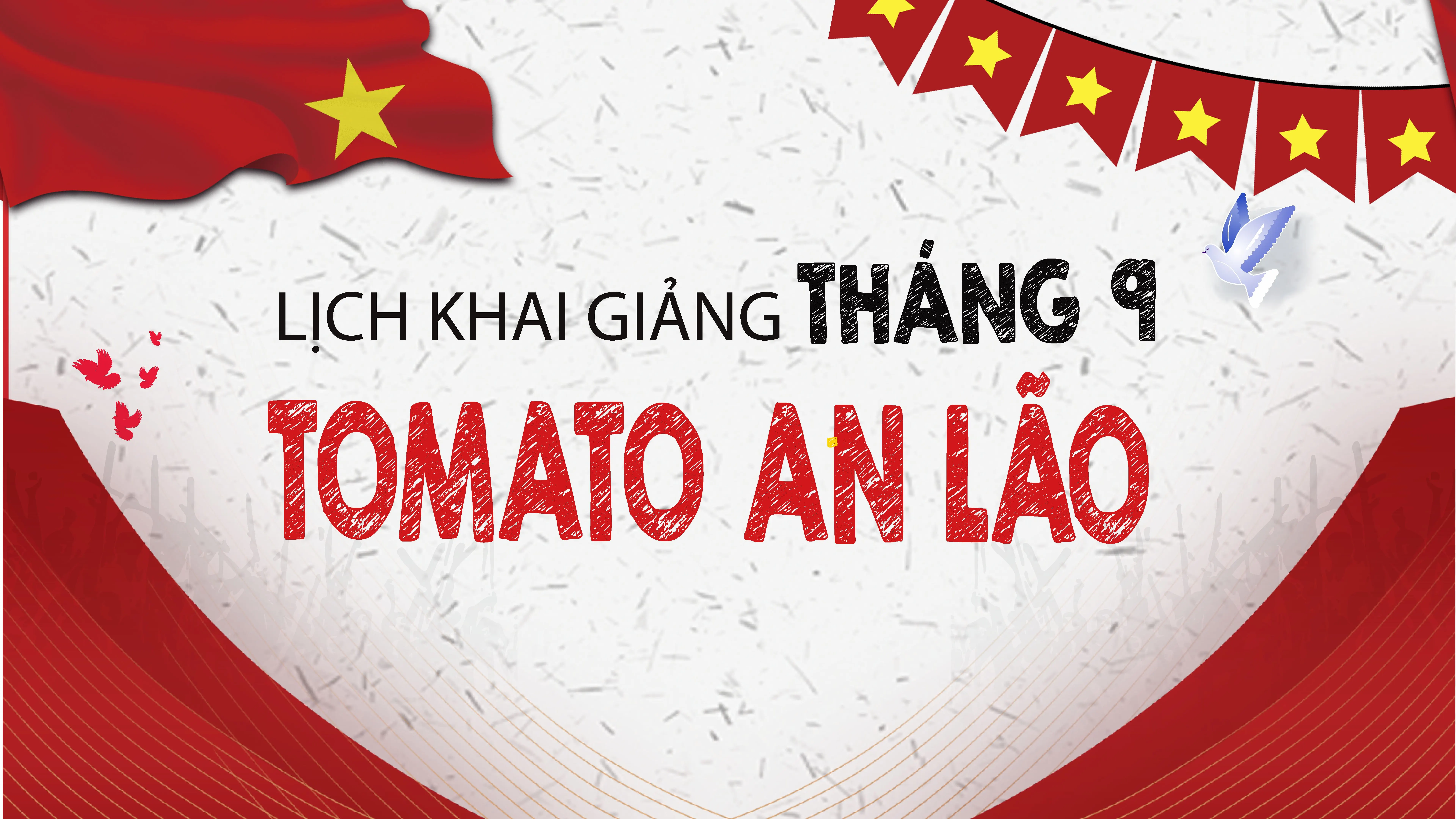 LỊCH KHAI GIẢNG THÁNG 8/2025 CỦA TOMATO CƠ SỞ AN LÃO