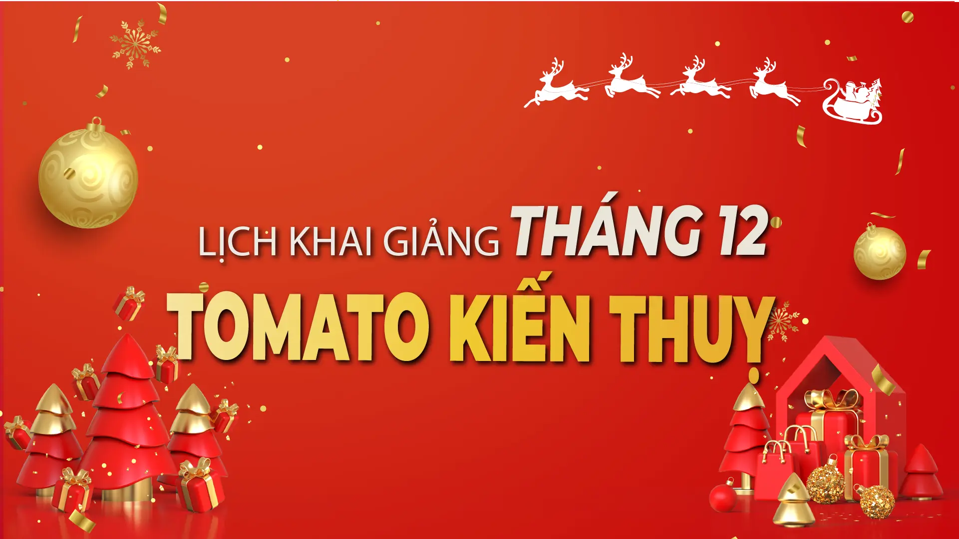 LỊCH KHAI GIẢNG THÁNG 12/2025 CỦA TOMATO CƠ SỞ KIẾN THỤY
