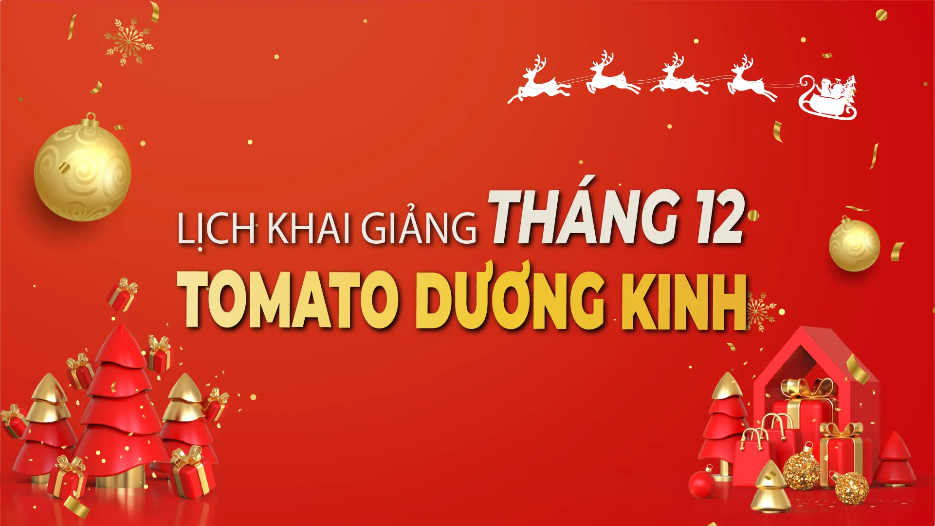 LỊCH KHAI GIẢNG THÁNG 12/2025 CỦA TOMATO CƠ SỞ DƯƠNG KINH