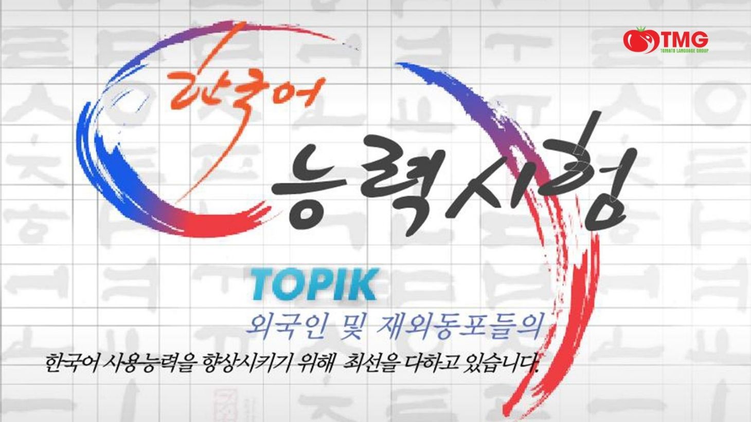 ​​​​​​​Tổng hợp đề thi Topik mới nhất - Ảnh 4