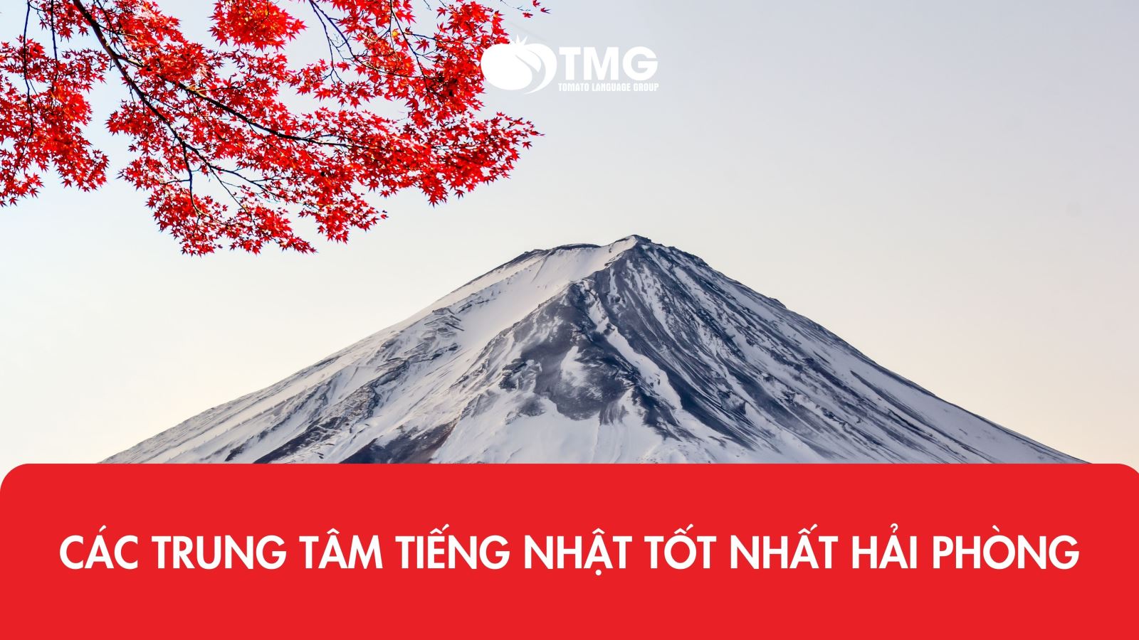 Top 5 trung tâm học tiếng Nhật tại Hải Phòng uy tín, chất lượng