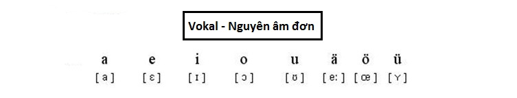 Cách phát âm bảng chữ cái tiếng Đức dễ nhớ nhất - Ảnh 3