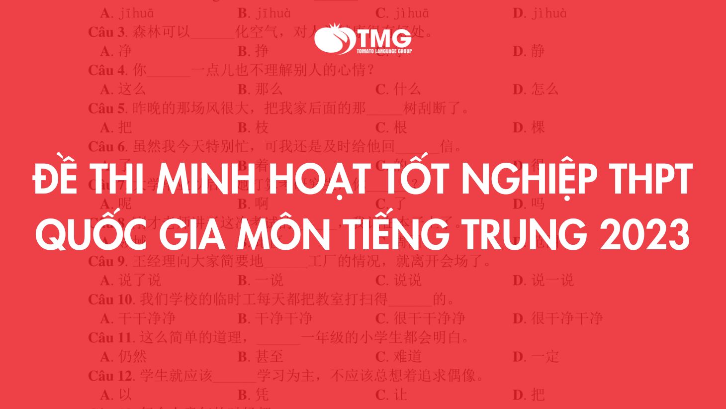 Đề thi minh họa tốt nghiệp THPT quốc gia 2023 môn tiếng Trung