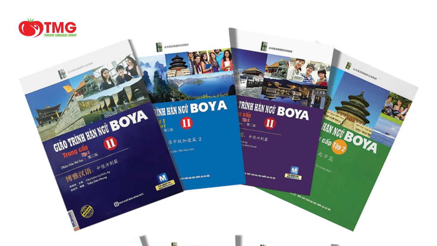 Download giáo trình Hán ngữ Boya sơ cấp 1 bản tiếng Việt MIỄN PHÍ - Ảnh 2