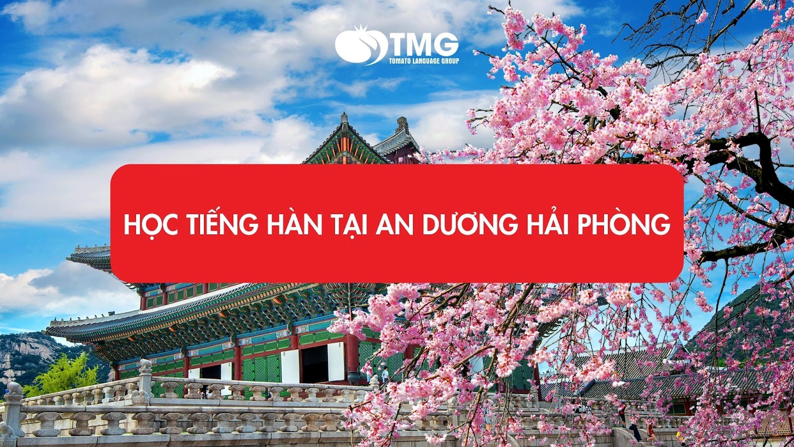 Địa điểm học tiếng Hàn tại An Dương tại Hải Phòng