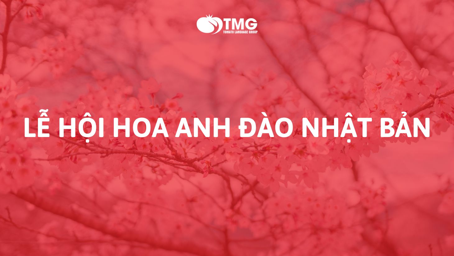 Lễ hội hoa anh đào Nhật Bản