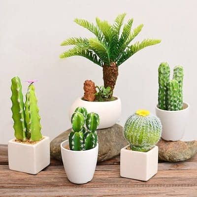 Truyền Thuyết, Thứ Tự, Tử Vi 12 Con Giáp Trung Quốc, Việt Nam - Ảnh 13