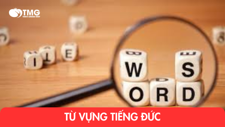 Từ vựng tiếng Đức dành cho người mới bắt đầu