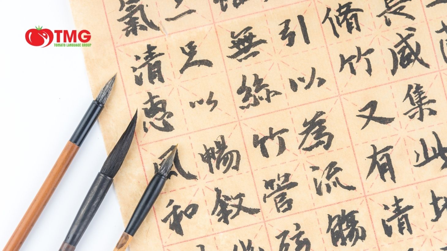 Từ vựng tiếng Trung giao tiếp hàng ngày - Ảnh 4