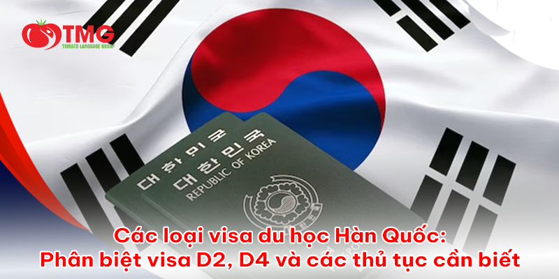 Các loại visa du học Hàn Quốc: Phân biệt visa D2, D4 và các thủ tục cần biết