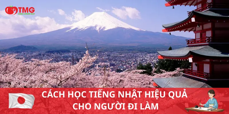 Cách học tiếng Nhật hiệu quả cho người đi làm