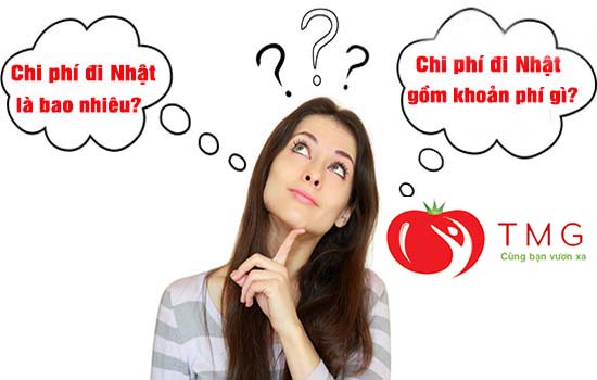 Chi phí đi xuất khẩu lao động Nhật Bản 2020 thực tế là bao nhiêu, gồm những khoản gì? - Ảnh 2