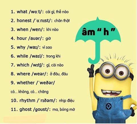 Ghi nhớ các từ ÂM CÂM trong tiếng Anh có thể bạn chưa biết