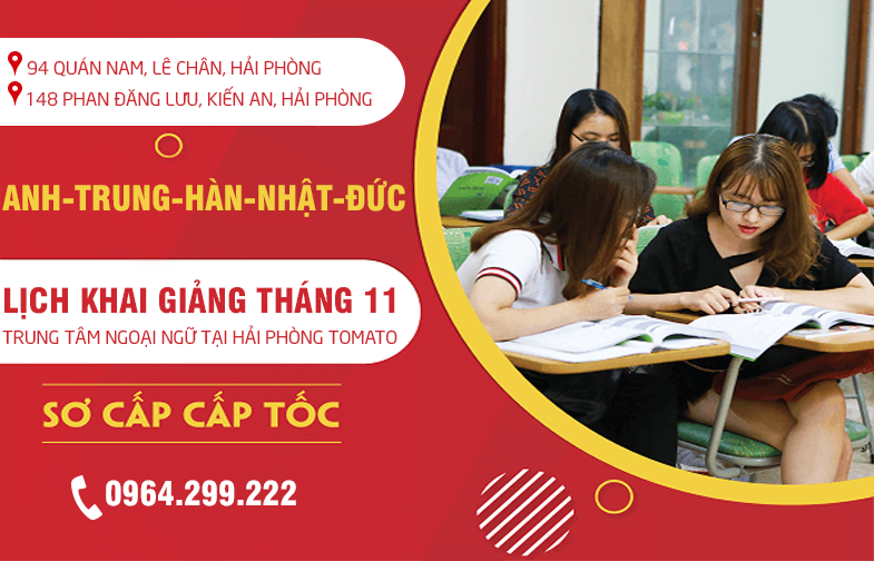 Lịch khai giảng tháng 11 trung tâm ngoại ngữ tại Hải Phòng TOMATO