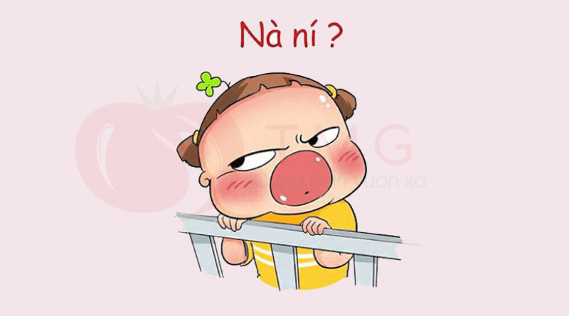Phân biệt  nan「なん」và nani「なに」