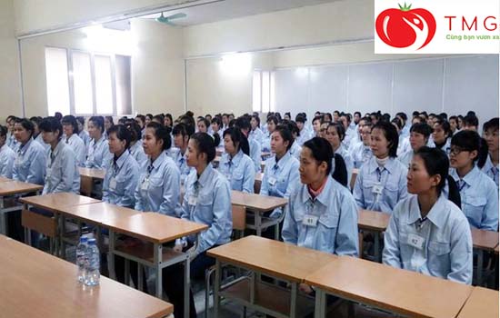 Phụ nữ có nên đi xuất khẩu Nhật Bản?