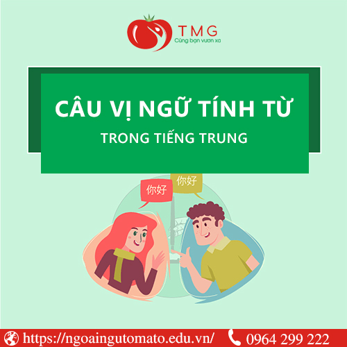 Tìm hiểu về câu vị ngữ tính từ trong tiếng Trung