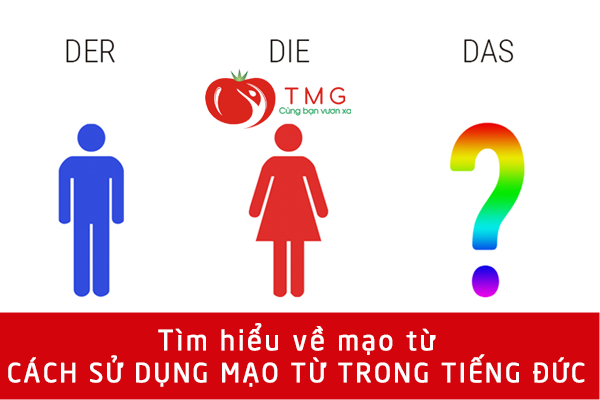 Tìm hiểu về mạo từ và cách sử dụng mạo từ trong tiếng Đức