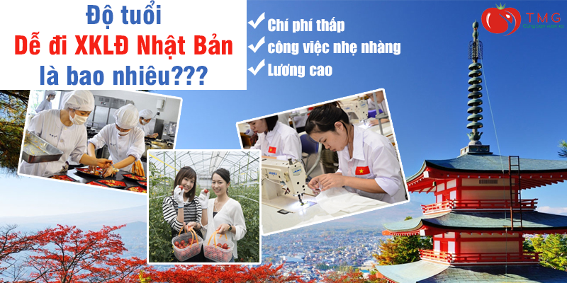 Độ tuổi dễ đi xuất khẩu lao động Nhật Bản là bao nhiêu?