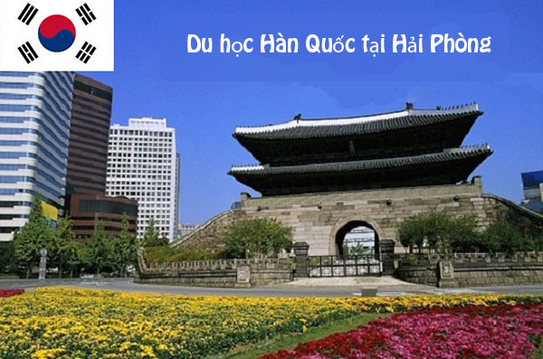 Trung tâm tư vấn du học Hàn Quốc uy tín tại Hải Phòng ?